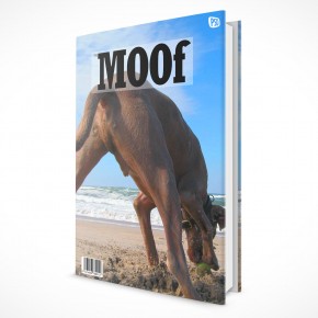 Sleeve Hardcover eBook cover Novel