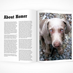 PSD top view open Magazine eBook cover action
