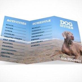 PSD Mockup 3 Panel Tri Fold Brochure Information