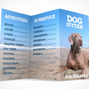 PSD Mockup 3 Panel Tri Fold Brochure Information