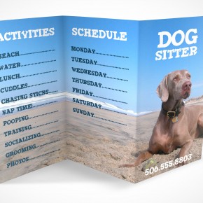 PSD Mockup 3 Panel Tri Fold Brochure Information