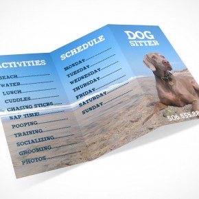 PSD Mockup 3 Panel Tri Fold Brochure Information