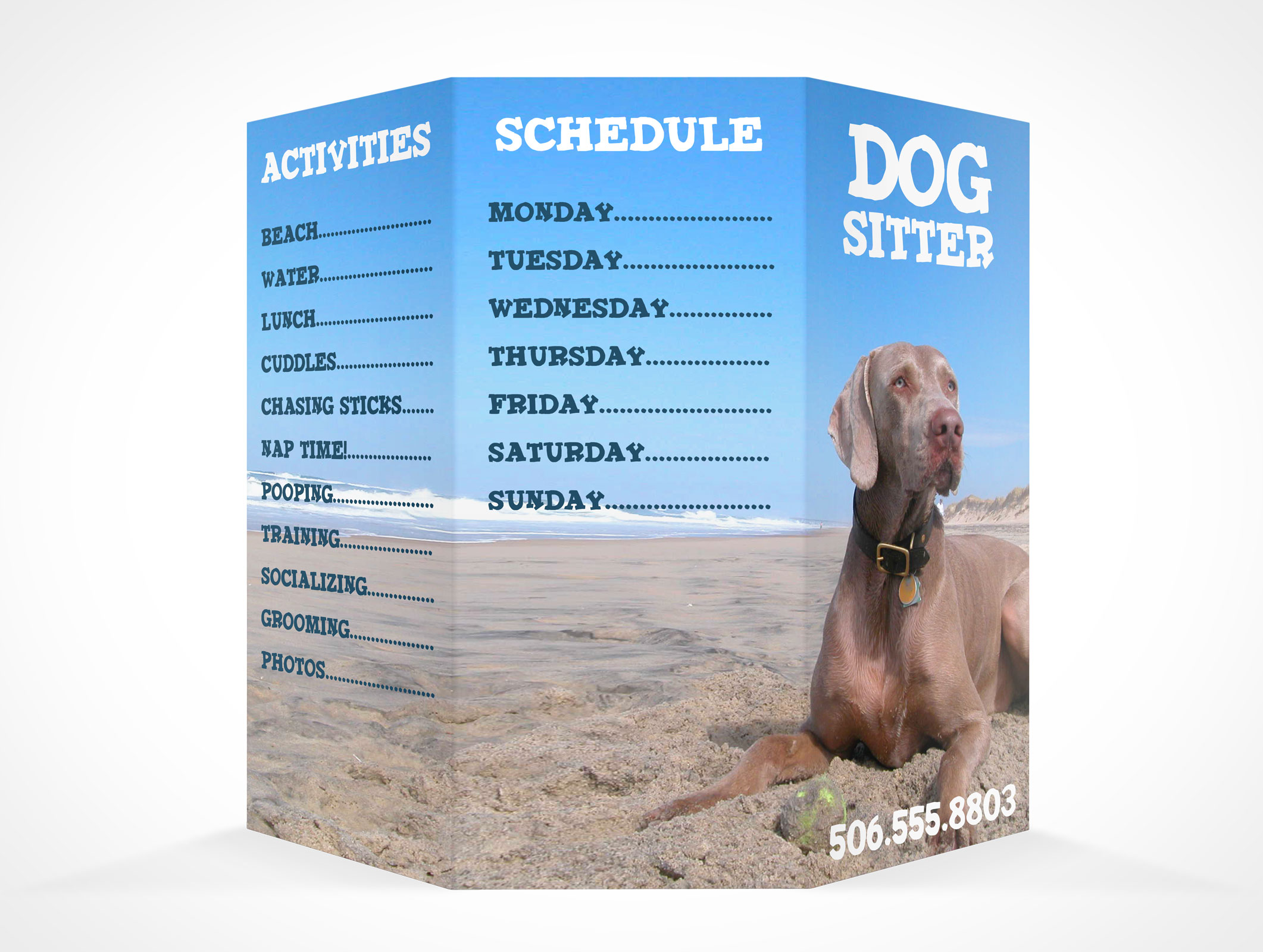 3 panel brochure