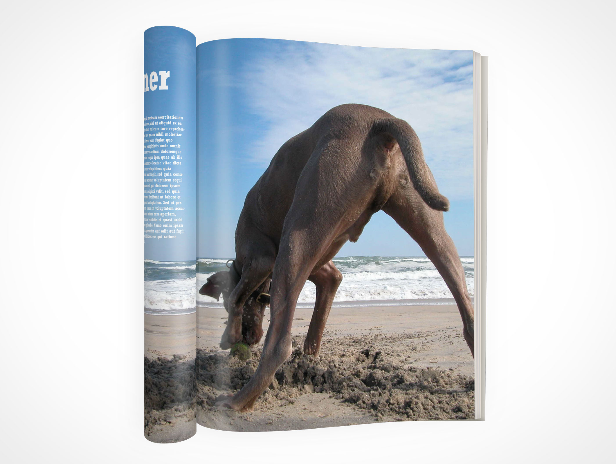 magazine mockups psd