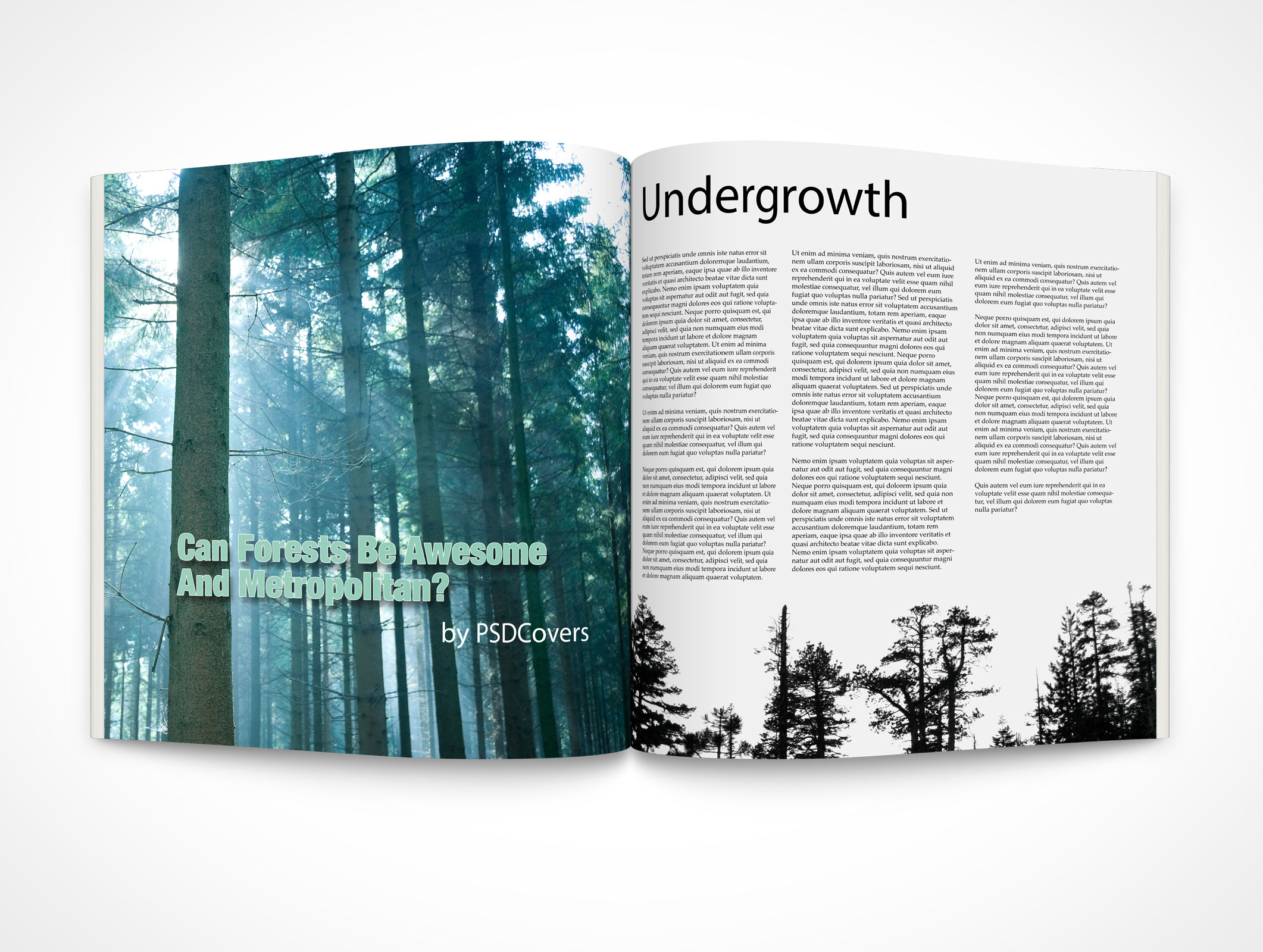 magazine psd mockup